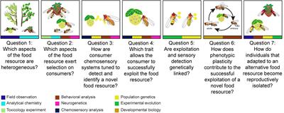 Seven Questions on the Chemical Ecology and Neurogenetics of Resource-Mediated Speciation